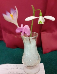 Feb06