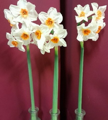 Mar07