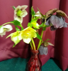 Mar15