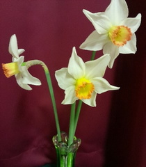 Apr05